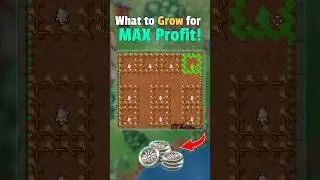 What to Plant for BIG Silver Gains in RavenQuest 💰🌱