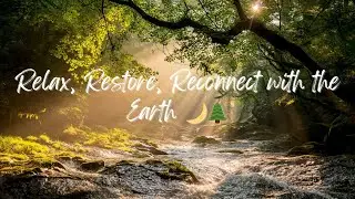 Harmony of the Elements: Birdsong and Flowing Waters Amidst Nature&rsquo;s Majesty