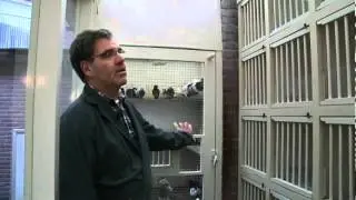 De Zwarte Vogel (Deel 4) - Programma Tiswat, TV West