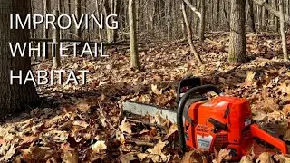Improving Whitetail Habitat (non food Plot) Creating Better deer cover and bedding.  Part 1