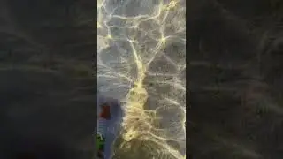 Sea weaving patterns #sea #shorts #nature #waves #ocean #beautiful #naturelovers #water #light