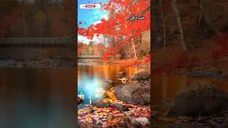 Sadgi Ki Fazilat #viral #hadees #whatsappstatus #islamicchannel #shorts #youtubeshorts