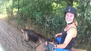 vlog week 3 2019 Fjordenpaard