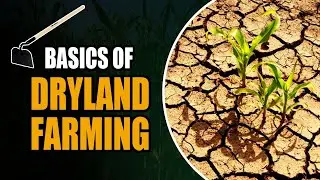 Dryland Farming | Methods to Reduce Loss of Soil Moisture | Part 2 | Yoshu