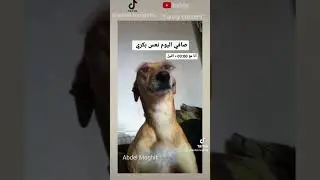 فاش كتبغي تنعس بكري 😂 #comedyvideos  #shorts