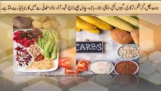 STD 10/SCIENCE 2/LIFE PROCESS PART 1/JANDARO KE HAYATI AFAL PART 1/IN URDU/SEMI ENGLISH/SSC BOARD