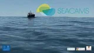SEACAMS C-MAX Sidescan Sonar System