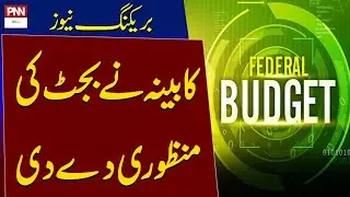 Exclusive | Cabinet Approve the Budget | PNN News