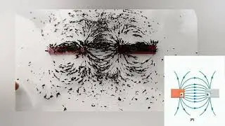 Identify poles of Magnet by observing magnetic field lines |Class 10 Science