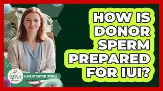 How Is Donor Sperm Prepared For IUI?