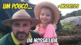 ✅ COMO FICOU A ÁREA ONDE TINHA A CASA // + CATA DE PEDRAS