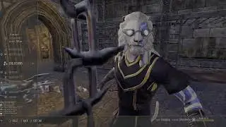 ESO questing, no commentary