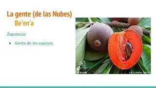 Los Zapotecos