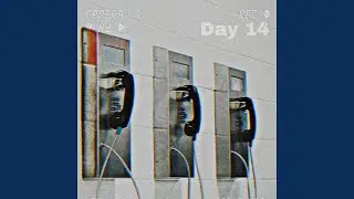 Day 14