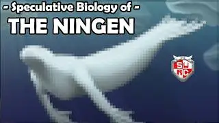 Speculative Biology of the Ningen 🐋