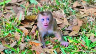 My Video 3
