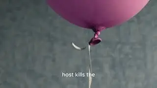 The 