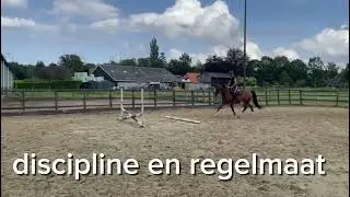 Opleiding jong springpaard