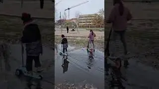 #shorts #funny #video #cute #share #cutebaby #shortvideo #spa&szlig; #spielen #cat #good #viral #video 🤗🤣