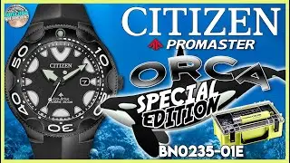 Black Ops Orca! | Citizen Promaster 200m Orca Special Edition w/Dive Torch BN0235-01E Unbox & Review