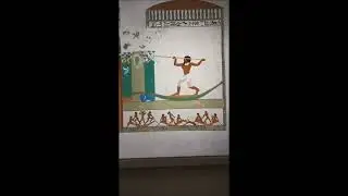 grand Egyptian museum 4