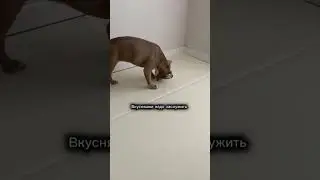 WB: 680909844 OZON: 3208459471 Яндекс Маркет: 4918167415 Сверхпрочный ковер Easy Mat от бренда Dfang