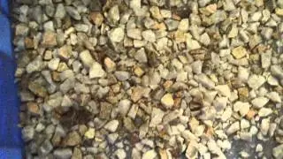 Mineral/red potash feldspar separation machine/color sorter:jromchen@hotmail.com