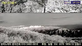아름다운이별(나훈아).  커버 장락