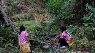 The poor girl went into forest alone to fix water pipe, her daily life on mountain farm