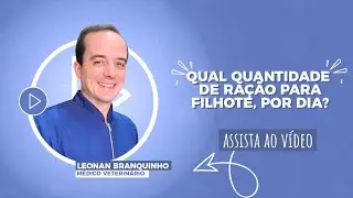 Qual quantidade de ração para filhote por dia?