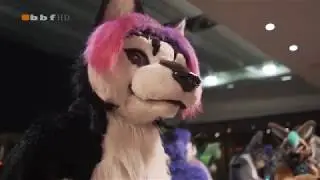 Midwest Furfest 2019 - Trailer 1
