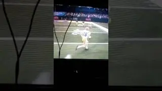 LSU fan GEAUX TIGERS 🐯