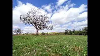 Venford Lapse