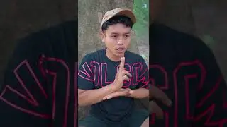 JURUS TINJU MACAN BOSS IPUL ‼️