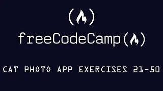Free Code Camp - Learn HTML by Building a Cat Photo App Exercises 21-50