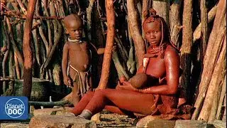 Habitantes del Namib. El Desierto Más Antiguo del Mundo - Documental Completo