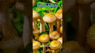 Mushroom Can Create Wind  #food #foodlover #facts