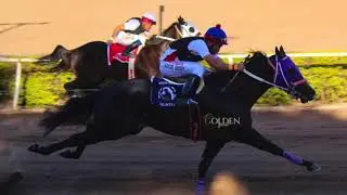 La Chicha Vs. Isabela. Fresno Hip&oacute;dromo, SIN.