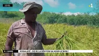 Kosalafé ! Do ri i  pous la Rényon ! Danyèl Waro ansanm Ti Fred la plante in karo kazkabar !