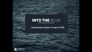 INTO THE BLUE: The Role of Finance in our Ocean Economy (UNGC Norway National Ocean Platform)