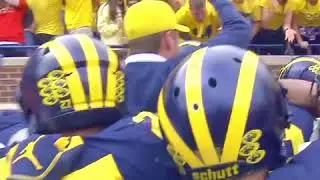 Good Vibrations: Michigan Shake