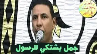 قصه في منتهى الجمال والروعة مع الشيخ رأفت الشويني قصه الجمل الذي تكلم مع النبي صلى الله عليه وسلم