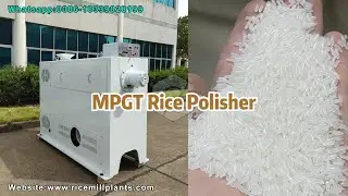 Rice Polishing Machine | Rice Polisher for Rice Processing Process #ricepolisher #ricepolishmachine