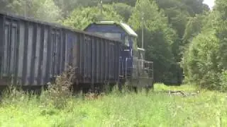SM42-1319 na manewrach w miejscu, gdzie tory zarosły trawą a szyny pokryły się rdzą