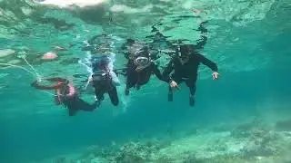 Cebu island hopping tour || Korean guest Snorkeling