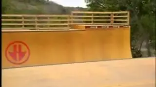 Tony Hawk's Trick Tips Vol  3
