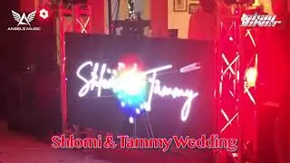Shlomi and Tammy Wedding Party | Wedding DJ Los Angeles