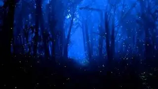 Dave Preston - Sweet Sound of Escape