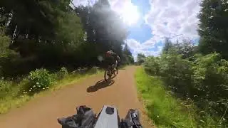 Kielder Forest 2025