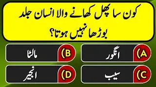 Top Islamic Questions Answers | Urdu Islamic Quiz | Urdu Quiz | Islamic Sawal Jawab | Urdu Paheliyan